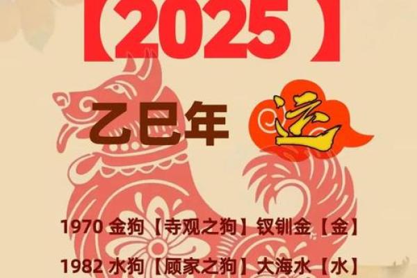 2025属狗最旺三种颜色 2025年属狗最旺的三种颜色助你运势飙升 2025属狗最旺三种颜色 2025年属狗最旺的三种颜色助你运势飙升