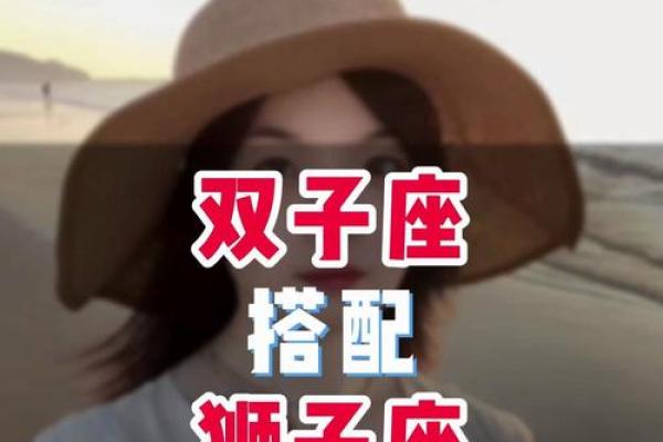 双子座和狮子座的配对指数是多少(双子座和狮子座相配是多少指数)