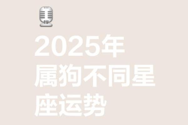属狗的人2025年运势及运程详解 2025年属狗的全年运势详解 属狗的人2025年运势及运程详解 2025年属狗的全年运势详解
