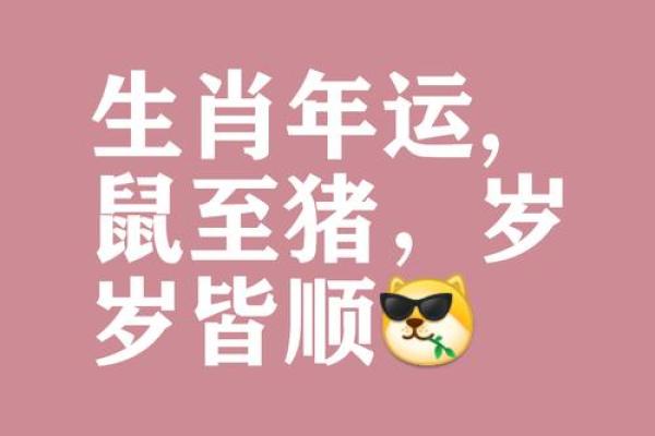 见贤思齐代表什么生肖(见贤思齐代表什么生肖动物) 见贤思齐代表什么生肖(见贤思齐代表什么生肖动物)