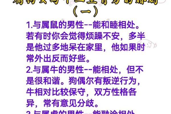 属狗男最宠哪个生肖女 属狗男最宠爱的生肖女是谁揭秘最佳配对
