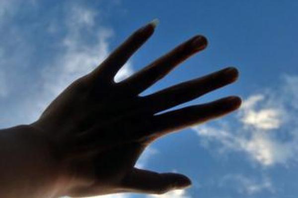 一手遮天什么生肖