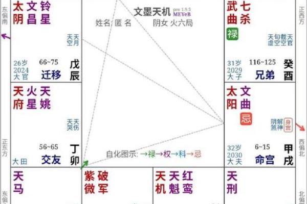 2025年4月7日寅时女命紫微斗数全解盘