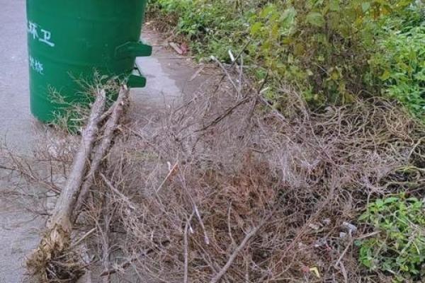 初十能动土吗 初十能动土吗