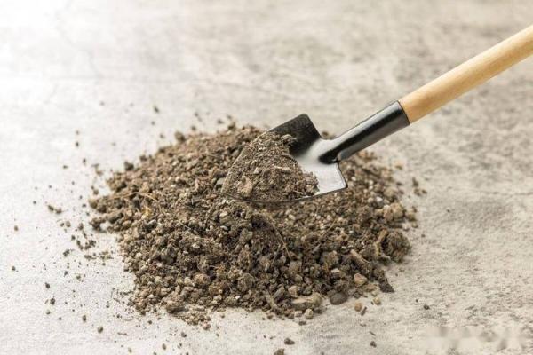 初十能动土吗 初十能动土吗