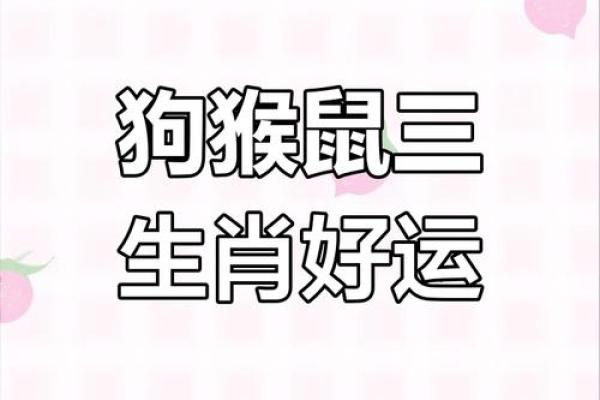 2025年4月20日生肖运势大揭秘