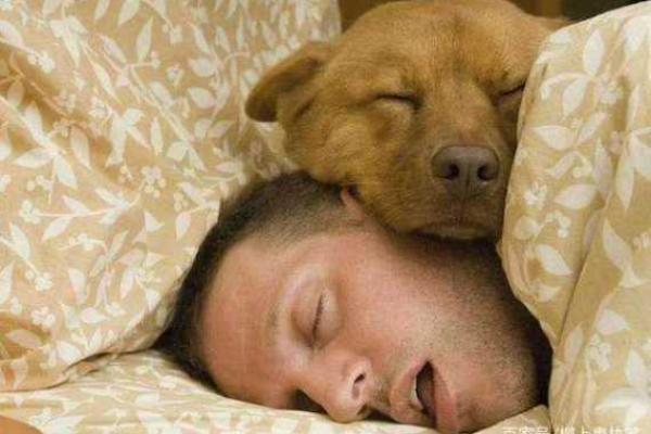 男人梦到蛇 男人梦到蛇