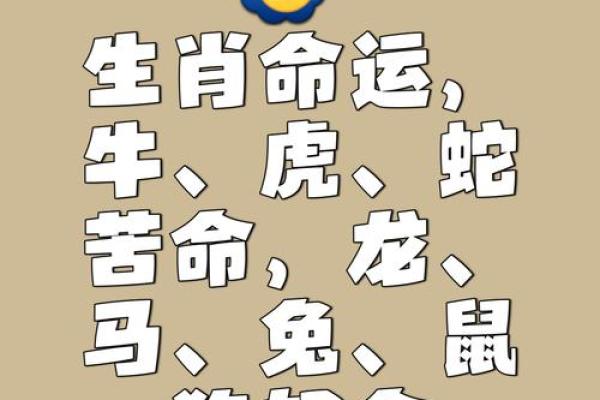 多愁善感的动物是什么生肖 多愁善感的动物是什么生肖