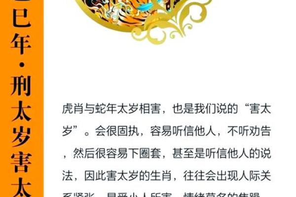 2025年属猪冲太岁运势解析及化解方法