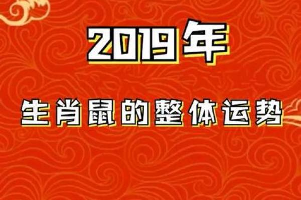 84年属鼠今年运势
