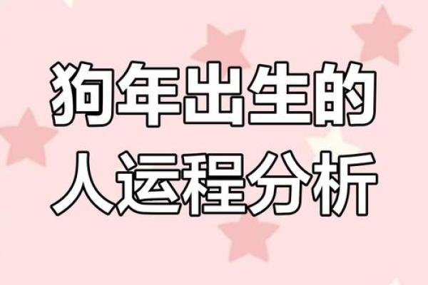 2025年生肖狗运 2025年生肖狗运势详解财运事业感情全解析 2025年生肖狗运 2025年生肖狗运势详解财运事业感情全解析
