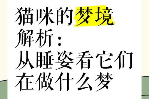周公解梦梦见猫