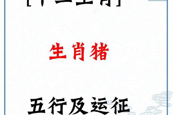 2025年属猪的人运气怎么样 2025年属猪人的全年运势详解