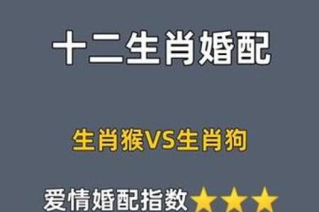 属狗女最佳婚配