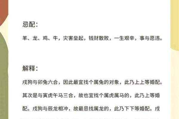 2024年属狗人的全年运势1982出生_2024年属狗人全年运势解析1982年出生者必看 2024年属狗人的全年运势1982出生_2024年属狗人全年运势解析1982年出生者必看