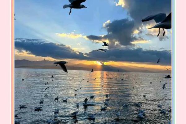 随波逐流是什么生肖(随波逐流是什么生肖) 随波逐流是什么生肖(随波逐流是什么生肖)