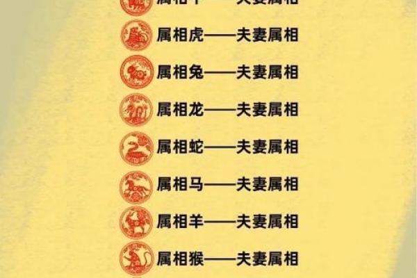 属龙和属羊的相配吗_男生属龙和属羊的相配吗