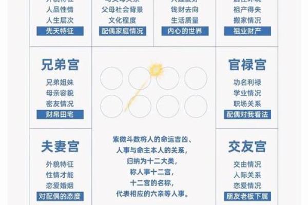 2025年4月9日卯时女命紫微斗数全解盘 2025年4月9日卯时女命紫微斗数全解盘