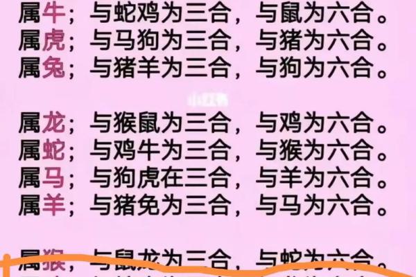 “笔枪纸弹”是代表哪个生肖，纸笔喉舌是什么生肖答案解释释义落实