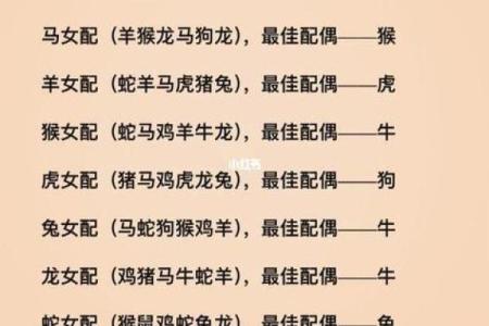 目光短浅是什么生肖