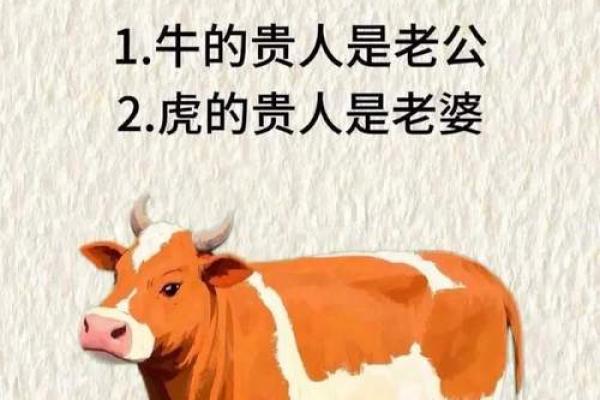 “牛皮大王”打一生肖是什么，牛皮大王打一最佳生肖答案解释释义落实