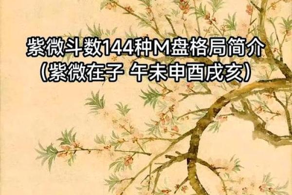 2025年4月30日卯时女命紫微斗数全解盘