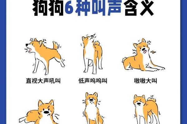 梦见狗叫 梦见狗叫