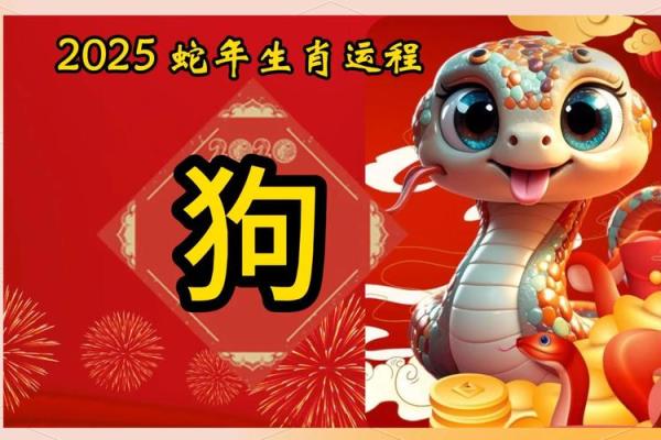 2025年属狗最后一难 70年属狗55岁大劫难 2025年属狗最后一难 70年属狗55岁大劫难