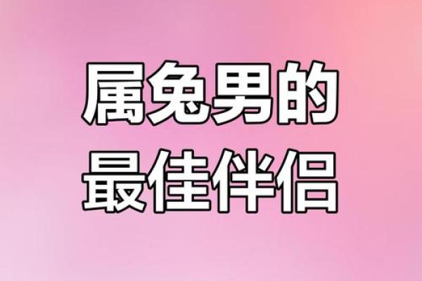 属兔男最佳婚配前十名属相_属兔男的最佳配对