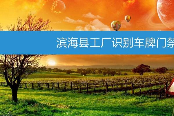 滨海县2025年新车牌 滨海县2025年新车牌