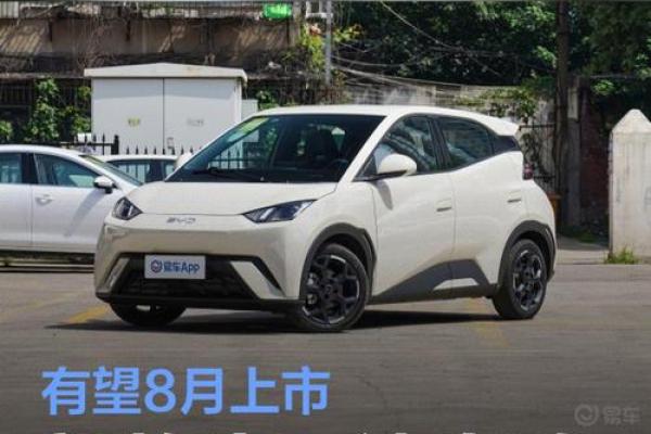 2025年新车上市车型有哪些