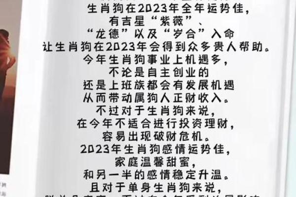 1982年属狗人2025年运势及运程_1982年属狗人2025年运势详解运程预测与吉凶分析 1982年属狗人2025年运势及运程_1982年属狗人2025年运势详解运程预测与吉凶分析