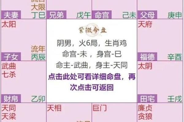 2025年4月16日子时女命紫微斗数全解盘