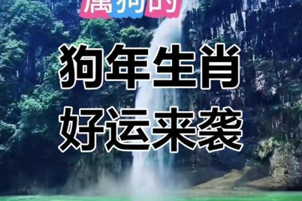 1994年狗2025年运势及运程_1994年属狗人2025年运势详解及运程预测 1994年狗2025年运势及运程_1994年属狗人2025年运势详解及运程预测