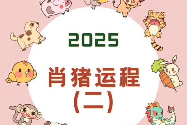 2025生肖猪运势及运程详解 2025年生肖猪运势详解全年运程大揭秘 2025生肖猪运势及运程详解 2025年生肖猪运势详解全年运程大揭秘