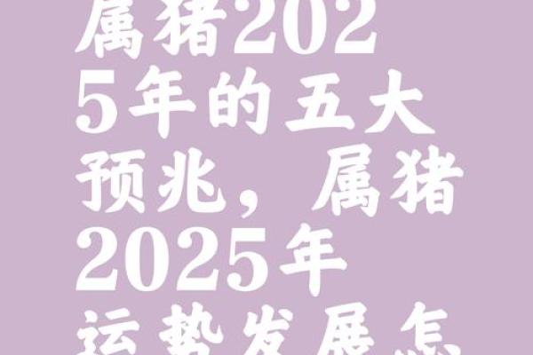 2025生肖猪运势及运程详解 2025年生肖猪运势详解全年运程大揭秘 2025生肖猪运势及运程详解 2025年生肖猪运势详解全年运程大揭秘