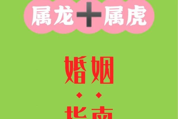 属龙的明年虎年可以结婚吗