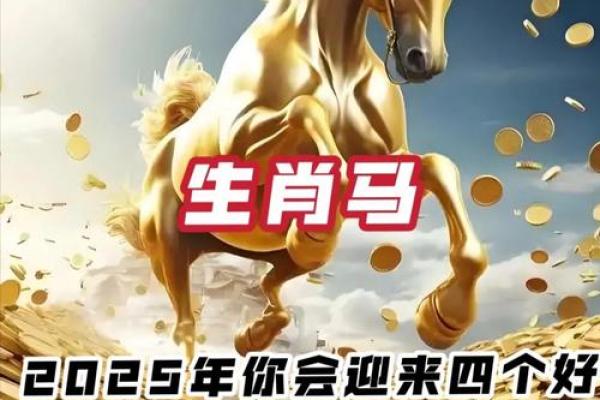 2025年生肖马1990年运势详解_生肖马在2025年的运势 2025年生肖马1990年运势详解_生肖马在2025年的运势