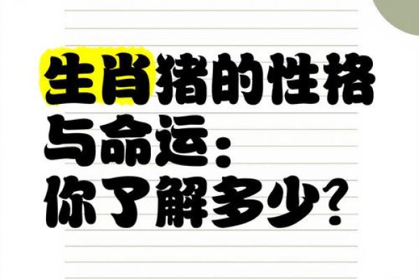 “了如指掌”是代表哪个生肖，了如指掌指哪个生肖答案解释释义落实