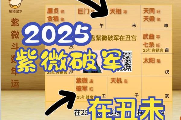 2025年4月13日丑时男命紫微斗数全解盘