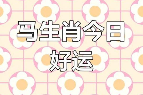 1978年属马女2024年每月运势及运程_78年属马女人2023年运势如何 1978年属马女2024年每月运势及运程_78年属马女人2023年运势如何