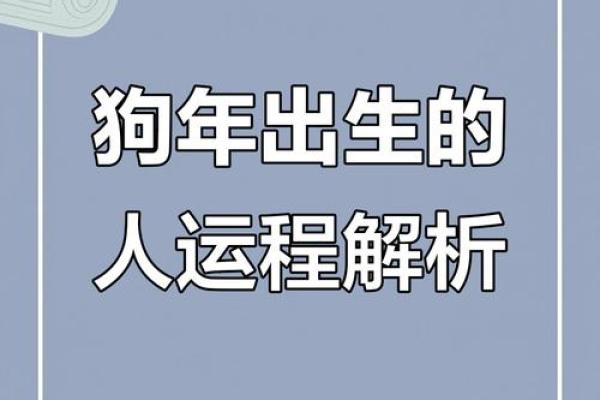 2025年属狗1970年运势_2025年属狗1970年出生者运势详解及运势提升指南