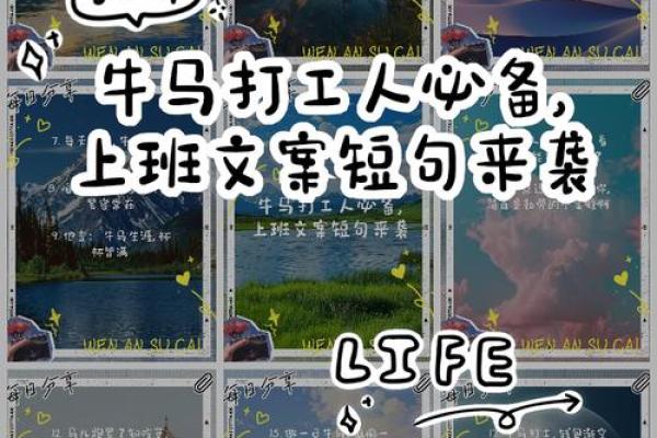 “牛马春耕农家地”代表什么生肖，美被曝买防核辐射药答案解释释义落实