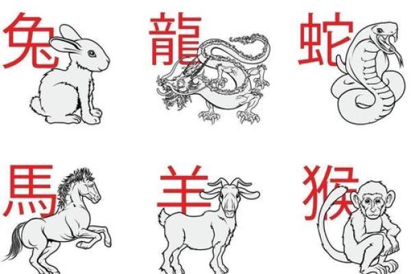 目光短浅是什么生肖(目光短浅是什么生肖动物) 目光短浅是什么生肖(目光短浅是什么生肖动物)