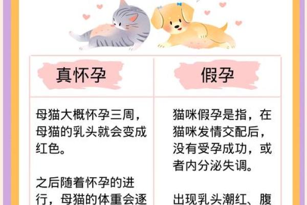 孕妇梦见猫一定生女儿 孕妇梦见猫一定生女儿