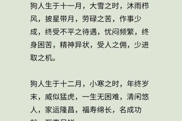 属狗的今年多大了_属狗的人今年多大2023年属狗年龄查询指南