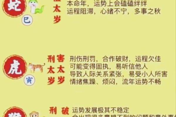 2025属猪太岁_2025属猪太岁运势解析如何化解太岁影响 2025属猪太岁_2025属猪太岁运势解析如何化解太岁影响