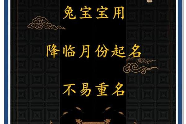 十兔九富的出生月份(十兔九富的出生月份是哪些)