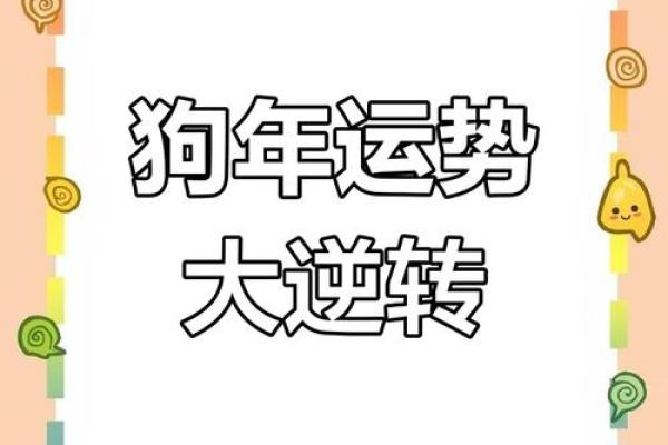 属狗的今天运势和财运 属狗今日运势与财运解析好运连连财运亨通 属狗的今天运势和财运 属狗今日运势与财运解析好运连连财运亨通