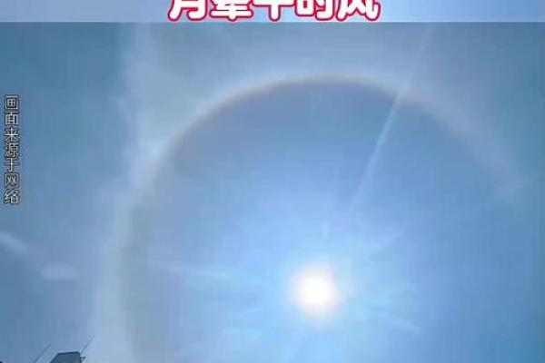 月晕主风是什么生肖(月晕意思) 月晕主风是什么生肖(月晕意思)